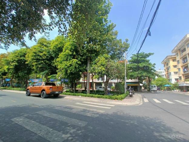 4303437 ảnh đại diện 1