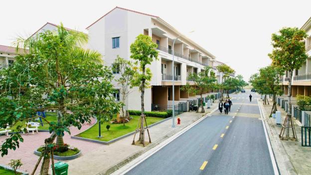 4305807 ảnh đại diện 2