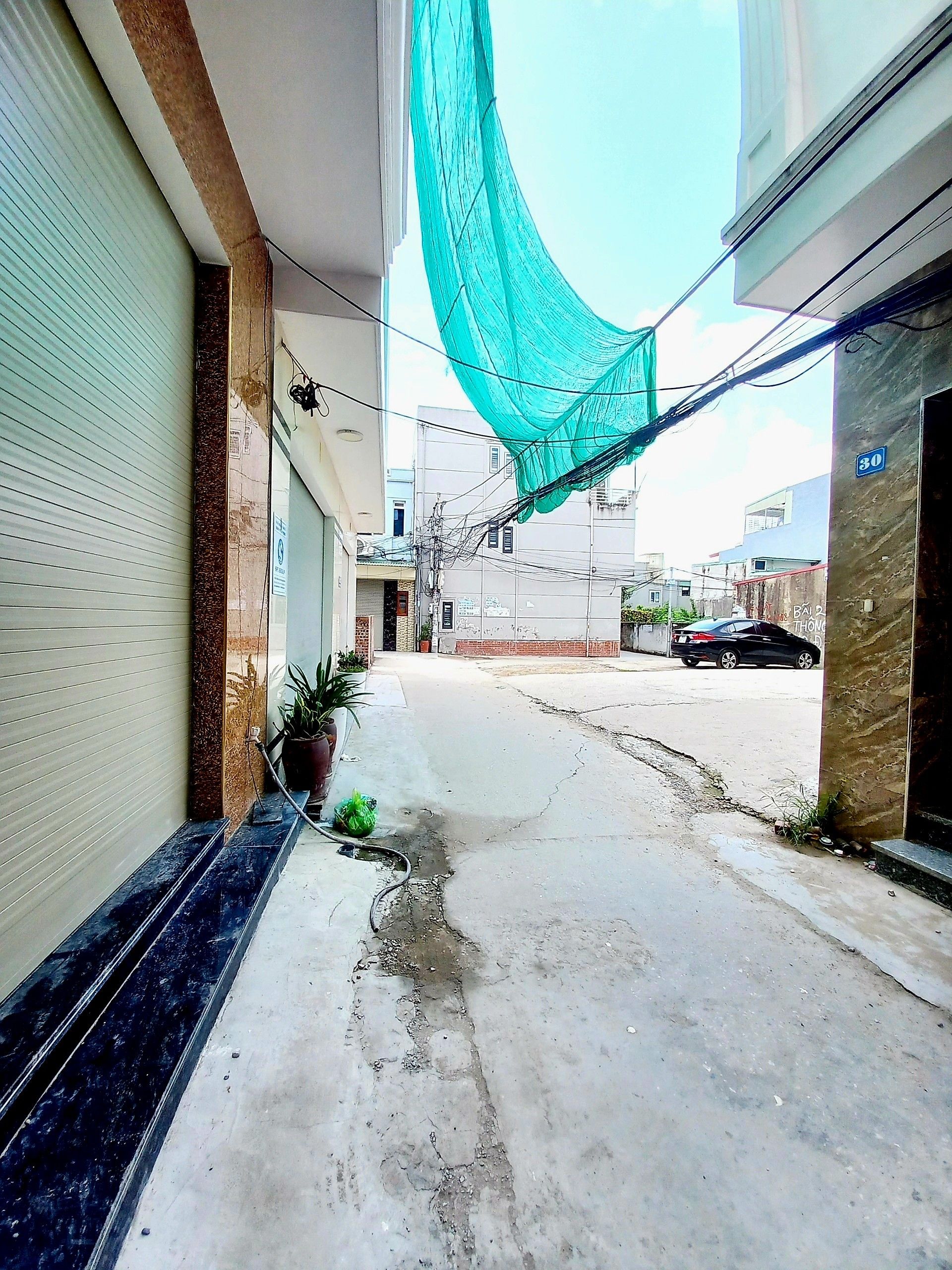 4305764 ảnh đại diện 1