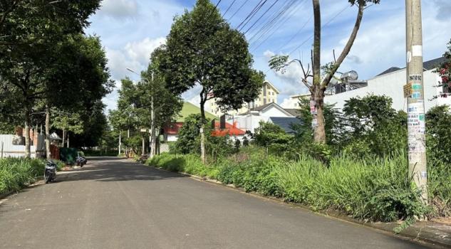 4305962 ảnh đại diện 1