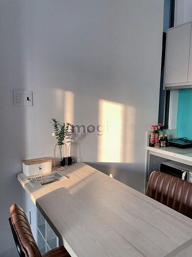4304086 ảnh đại diện 1