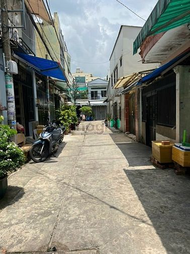 4304182 ảnh đại diện 1