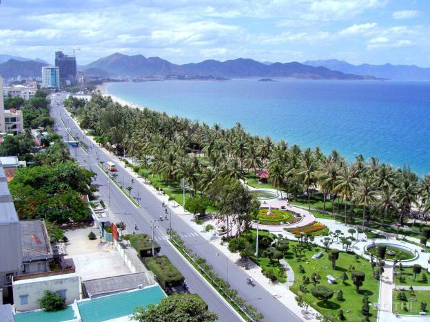 4309273 ảnh đại diện 1