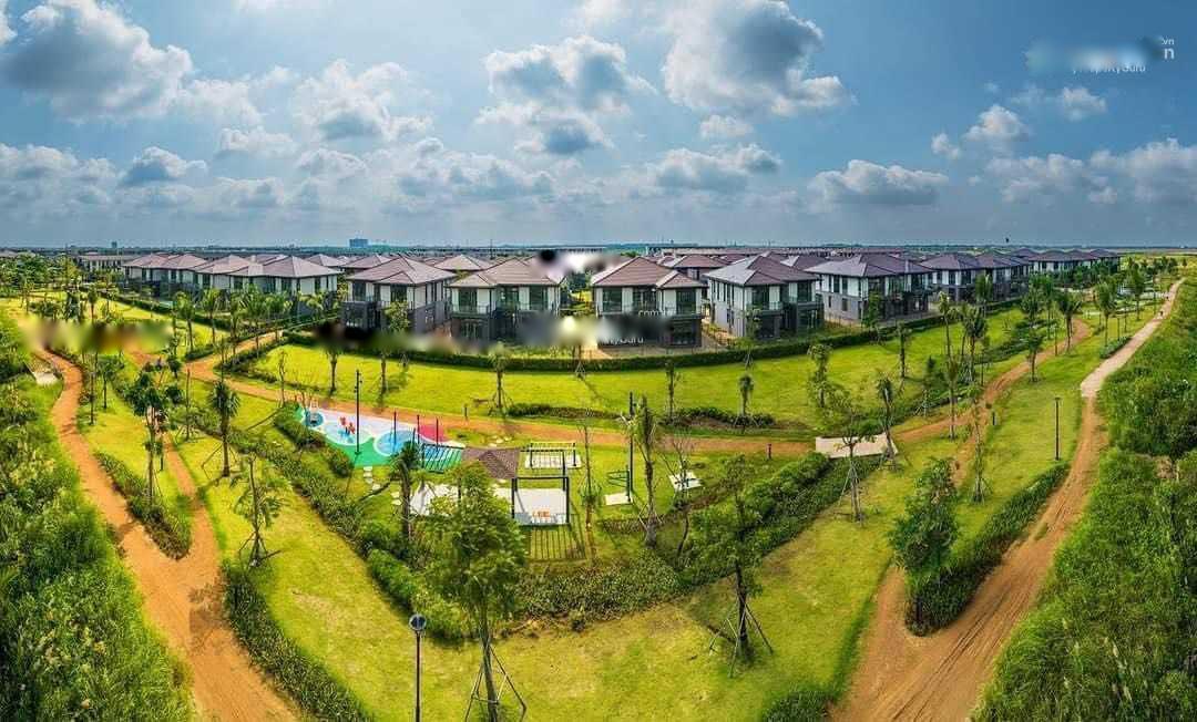 4309906 ảnh đại diện 1