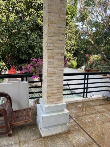 4309737 ảnh đại diện 2