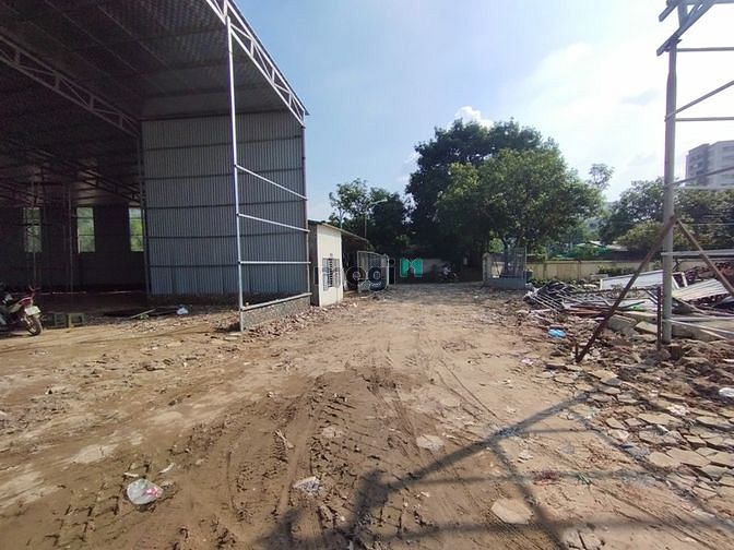 4309337 ảnh đại diện 1