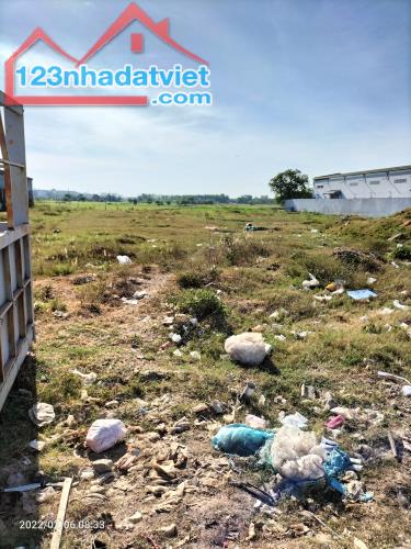 4306624 ảnh đại diện 1