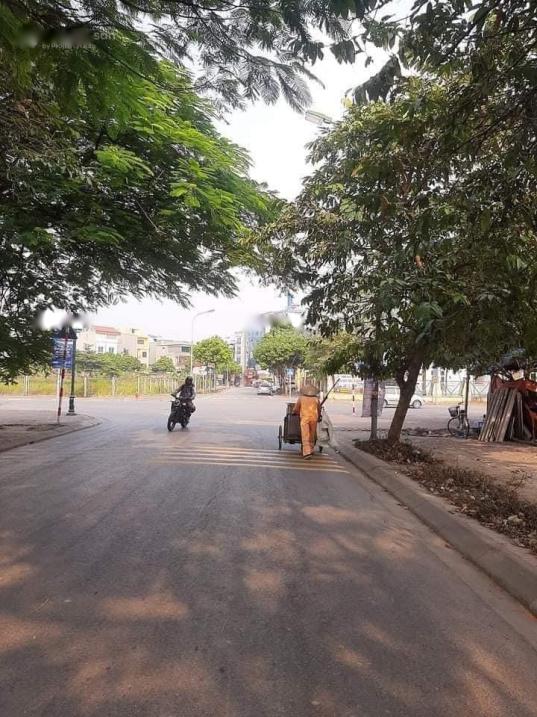 4306350 ảnh đại diện 1
