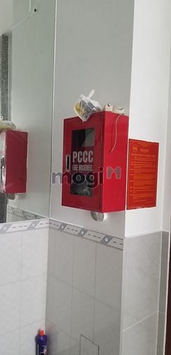 4309256 ảnh đại diện 1