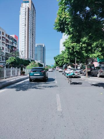 4310327 ảnh đại diện 1