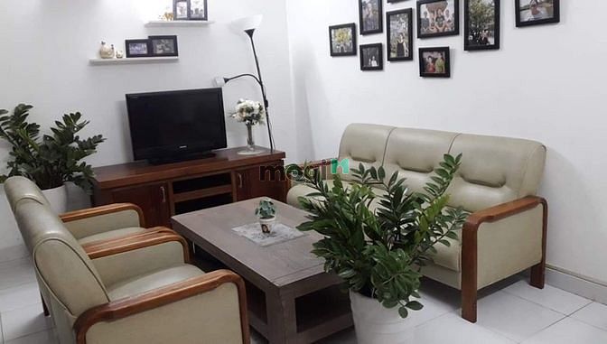 4310171 ảnh đại diện 2