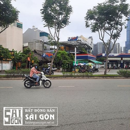 4307245 ảnh đại diện 2
