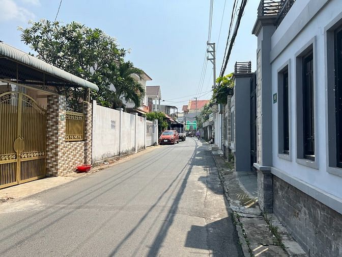 4307031 ảnh đại diện 2