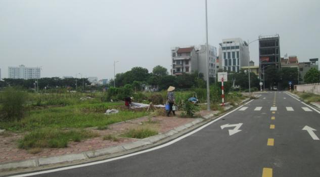 4306778 ảnh đại diện 1