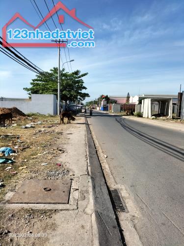 4306624 ảnh đại diện 1