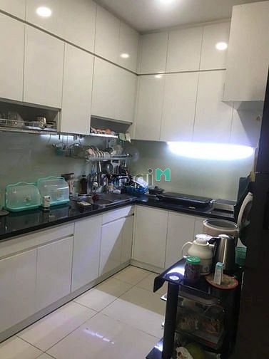 4310129 ảnh đại diện 1