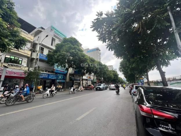4309061 ảnh đại diện 1