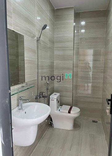 4306977 ảnh đại diện 2