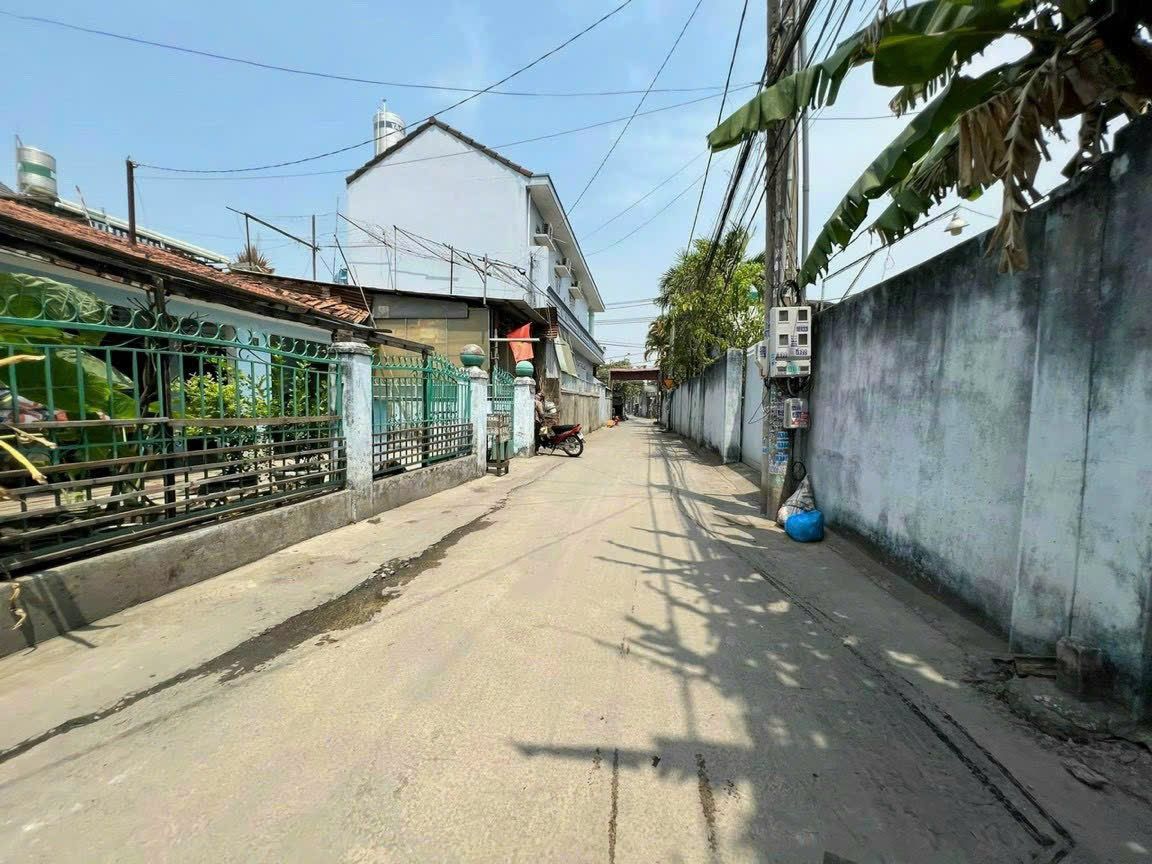 4306873 ảnh đại diện 2