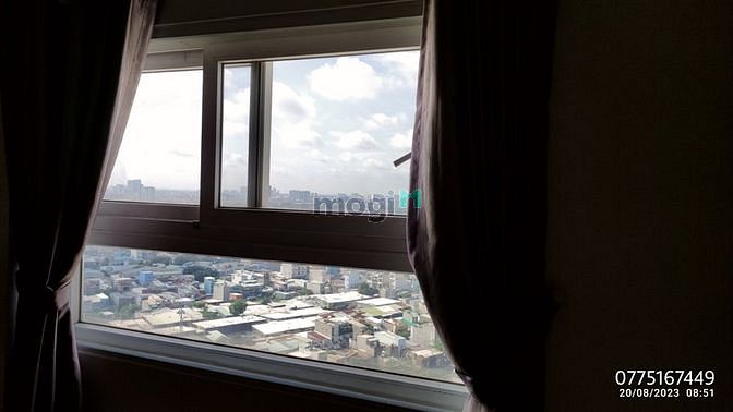 4306648 ảnh đại diện 2