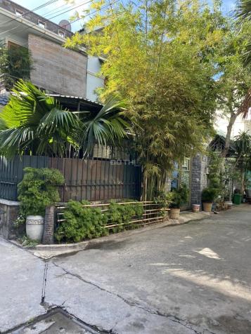 4309161 ảnh đại diện 1