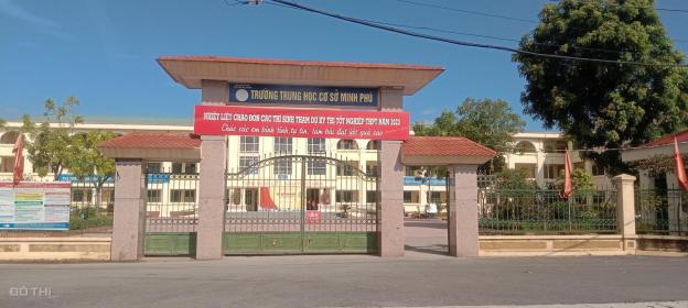4309169 ảnh đại diện 1