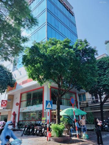 4310326 ảnh đại diện 1