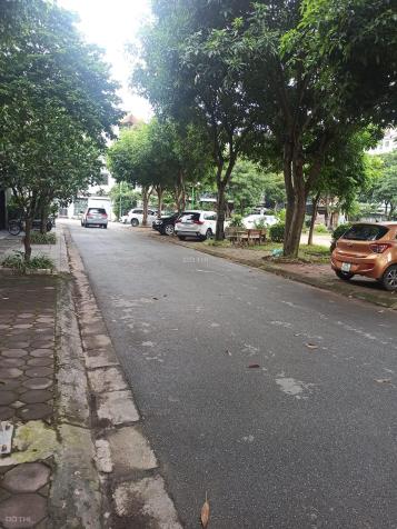4306802 ảnh đại diện 1