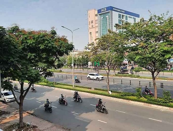 4308097 ảnh đại diện 1