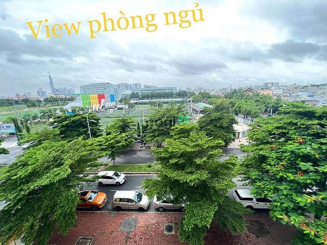4307175 ảnh đại diện 1