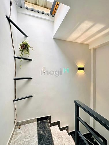 4307878 ảnh đại diện 1