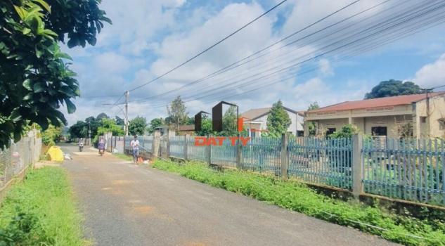 4306035 ảnh đại diện 1