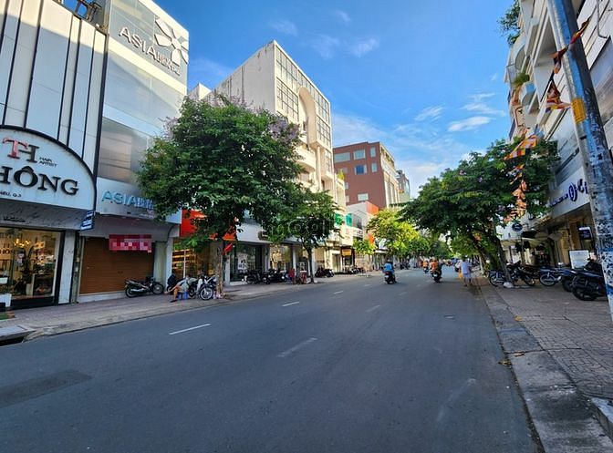 4307627 ảnh đại diện 1