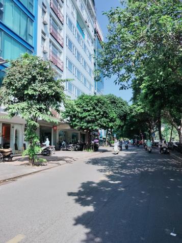 4310326 ảnh đại diện 2