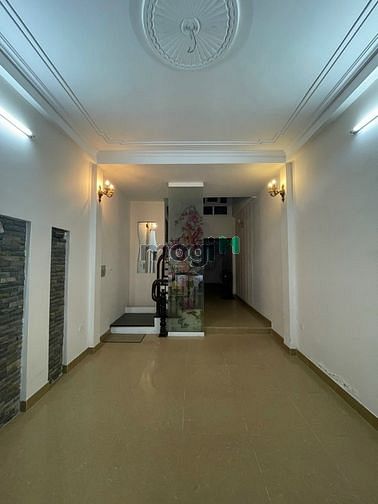 4309022 ảnh đại diện 2