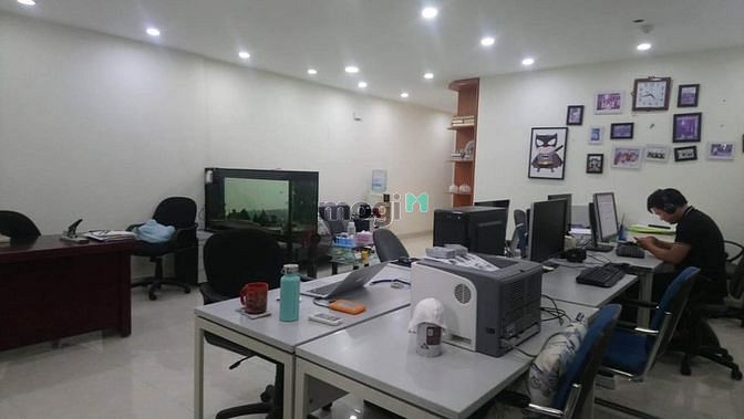 4307863 ảnh đại diện 1