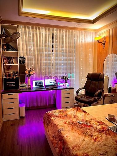 4306978 ảnh đại diện 1