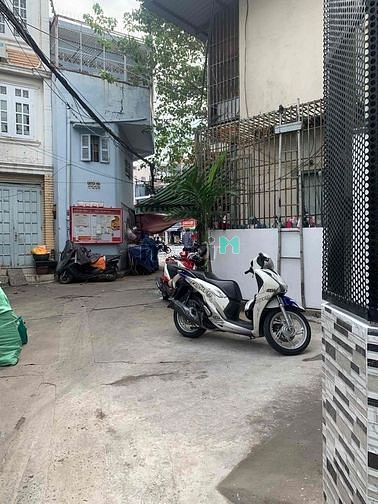 4308435 ảnh đại diện 2