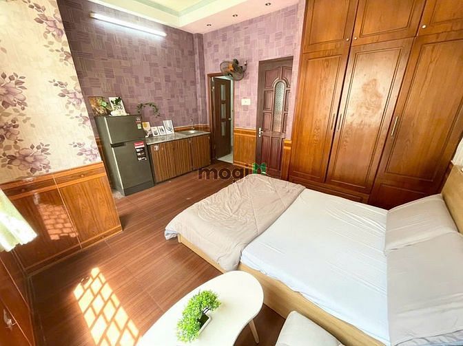 4307005 ảnh đại diện 2