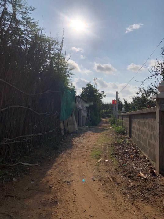 4306629 ảnh đại diện 2