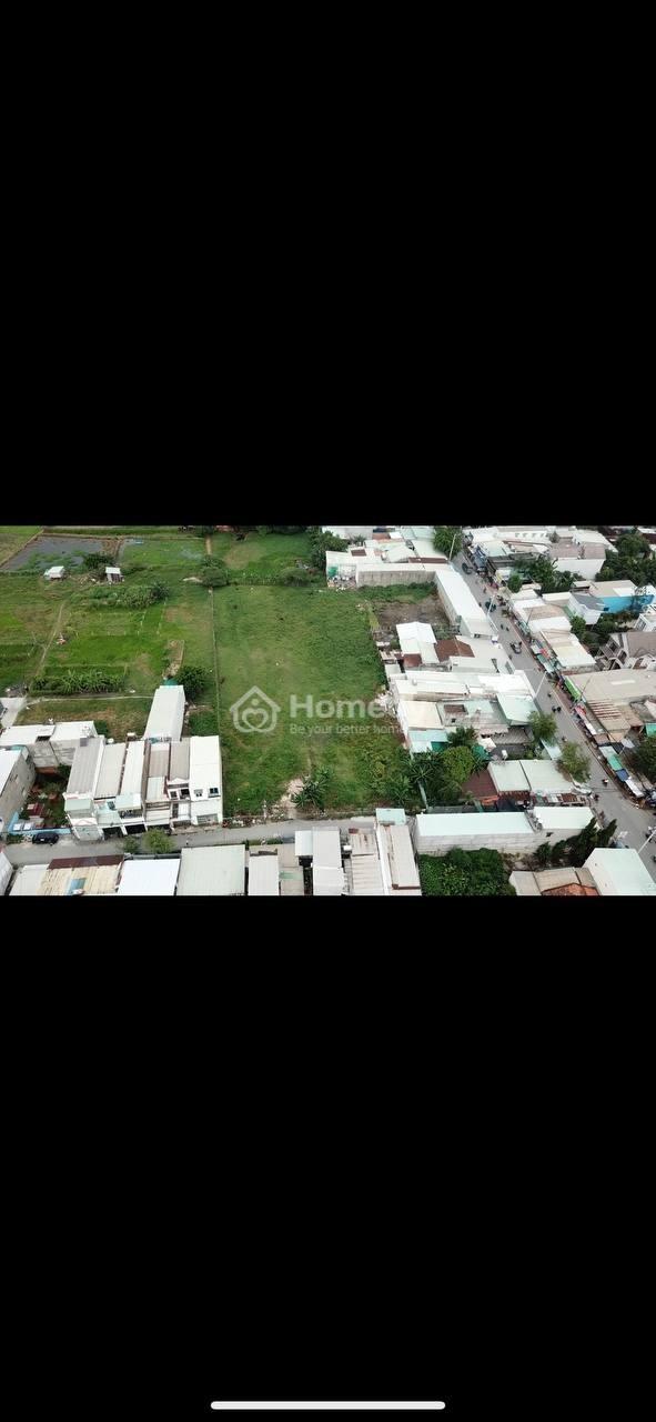 4309043 ảnh đại diện 1