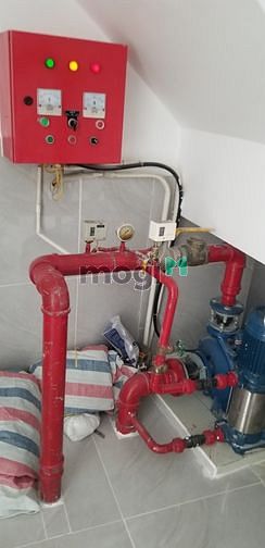4309256 ảnh đại diện 1