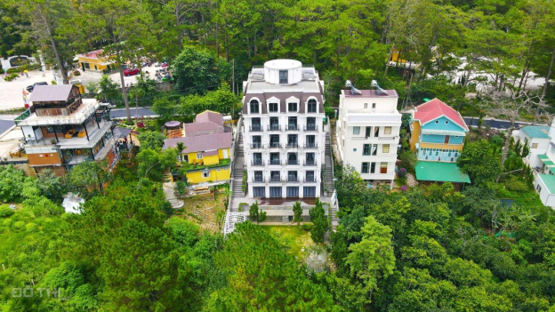 4306848 ảnh đại diện 2