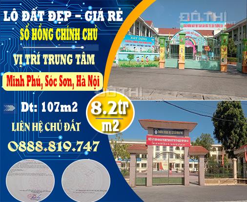 4309169 ảnh đại diện 1