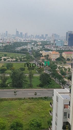 4308914 ảnh đại diện 2