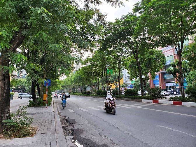 4307273 ảnh đại diện 2