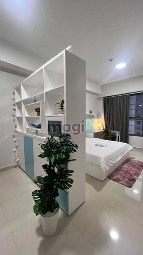 4306964 ảnh đại diện 2