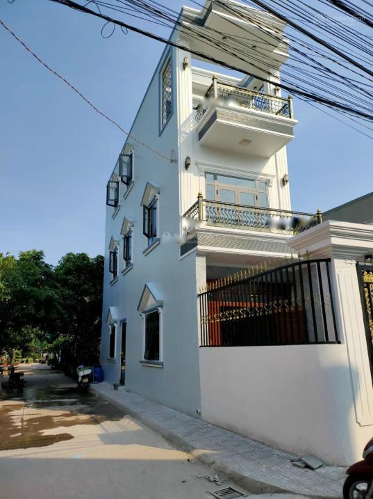 4308973 ảnh đại diện 1