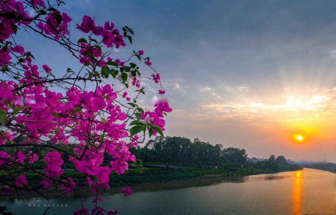 4309599 ảnh đại diện 1