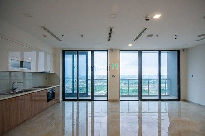 4309843 ảnh đại diện 2